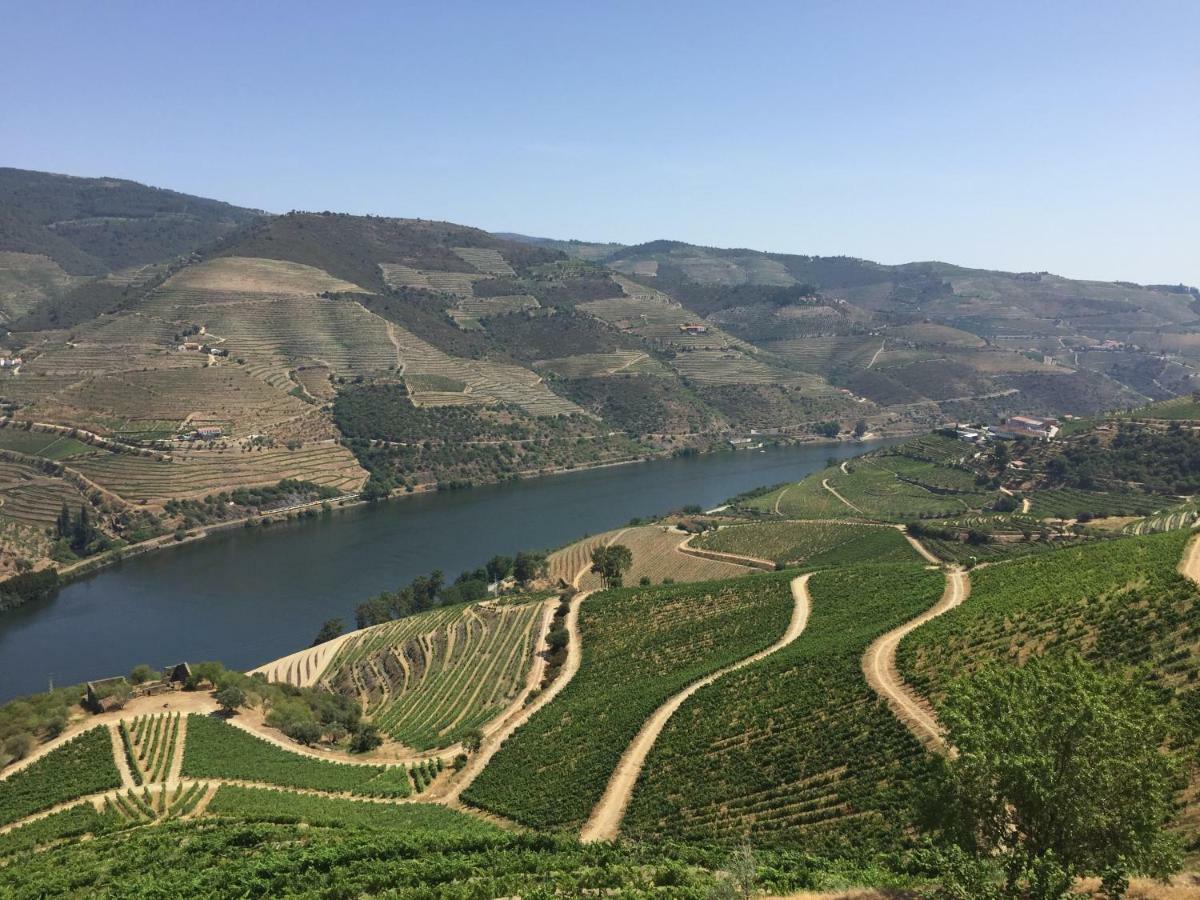 Refugio D'Anita Douro Valley House Barcos Dış mekan fotoğraf