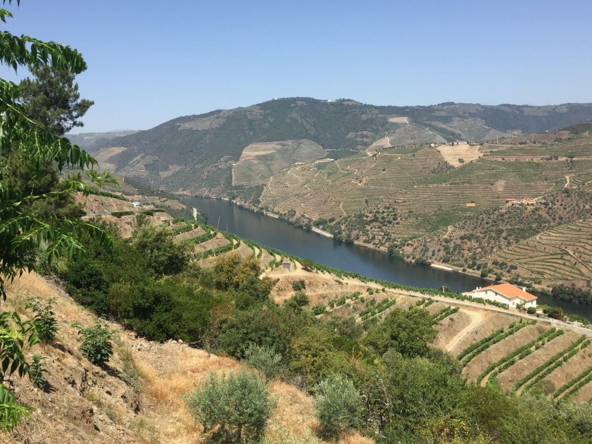Refugio D'Anita Douro Valley House Barcos Dış mekan fotoğraf
